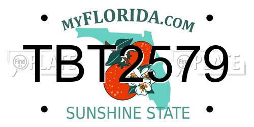 TBT2579 Florida License Plate
