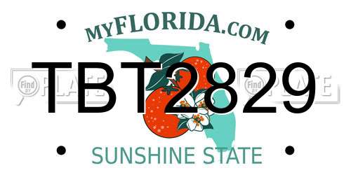 TBT2829 Florida License Plate