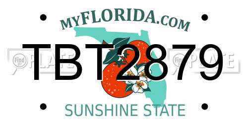 TBT2879 Florida License Plate
