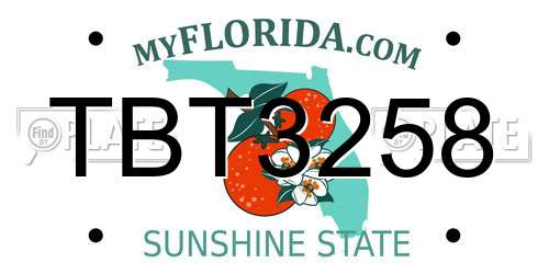 TBT3258 Florida License Plate
