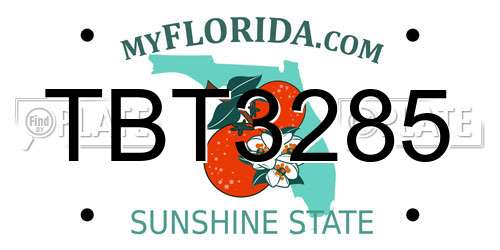 TBT3285 Florida License Plate