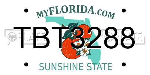 TBT3288 Florida License Plate