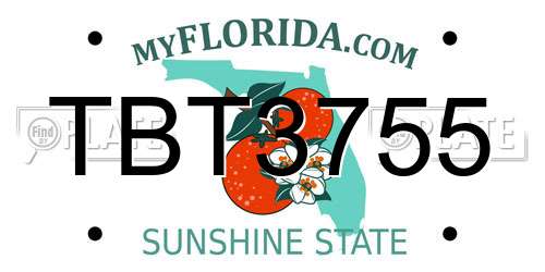 TBT3755 Florida License Plate