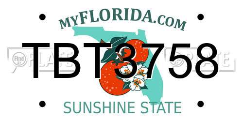 TBT3758 Florida License Plate