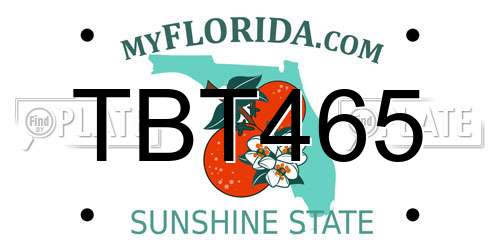 TBT465 Florida License Plate