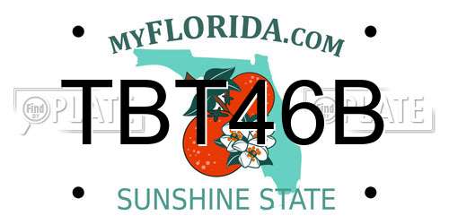 TBT46B Florida License Plate