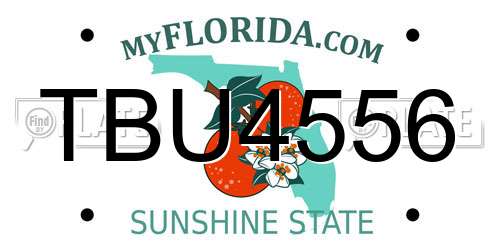 TBU4556 Florida License Plate