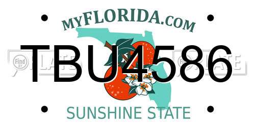 TBU4586 Florida License Plate
