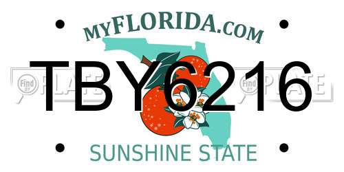 TBY6216 Florida License Plate