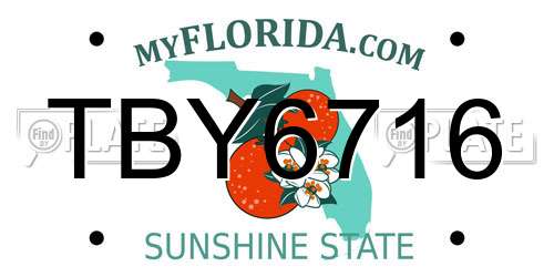 TBY6716 Florida License Plate