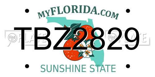 TBZ2829 Florida License Plate