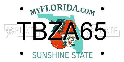 TBZA65 Florida License Plate