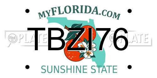 TBZI76 Florida License Plate