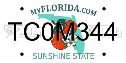 TC0M344 Florida License Plate