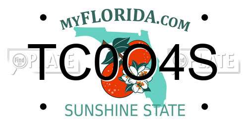 TC0O4S Florida License Plate