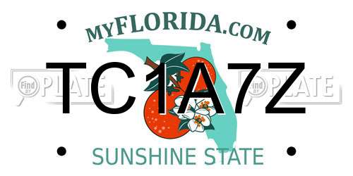 TC1A7Z Florida License Plate