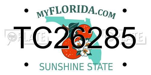 TC26285 Florida License Plate