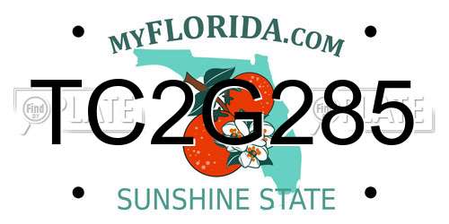 TC2G285 Florida License Plate