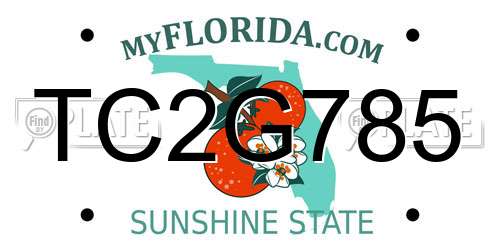 TC2G785 Florida License Plate
