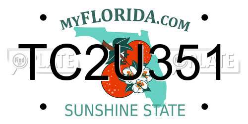 TC2U351 Florida License Plate