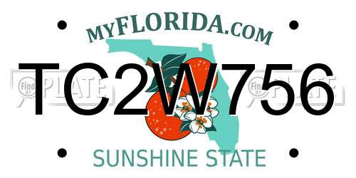 TC2W756 Florida License Plate