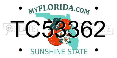 TC53362 Florida License Plate