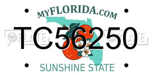 TC56250 Florida License Plate