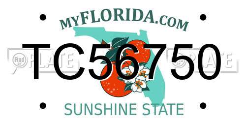 TC56750 Florida License Plate