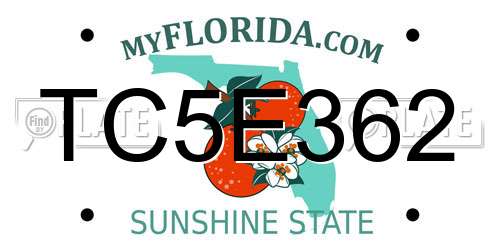TC5E362 Florida License Plate
