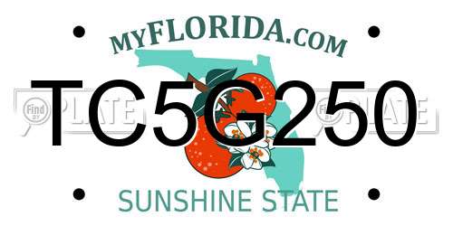 TC5G250 Florida License Plate