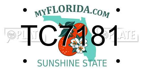 TC7181 Florida License Plate