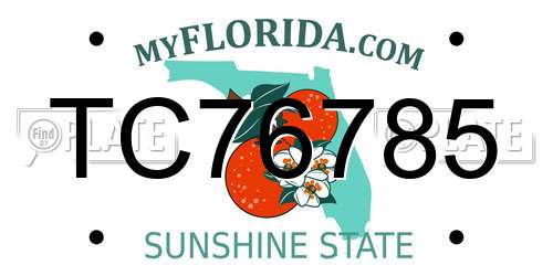 TC76785 Florida License Plate