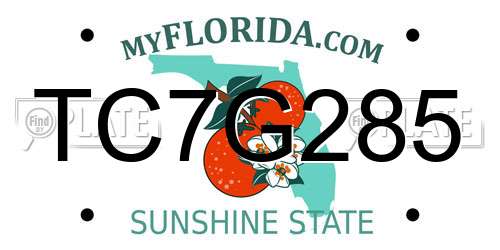 TC7G285 Florida License Plate