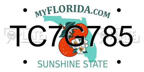 TC7G785 Florida License Plate