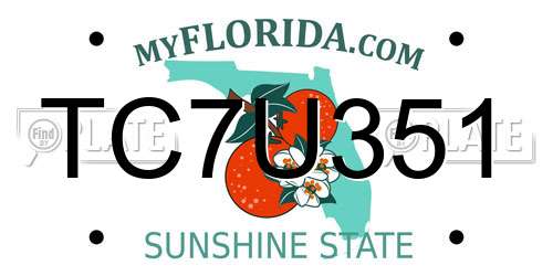 TC7U351 Florida License Plate