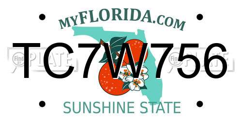 TC7W756 Florida License Plate