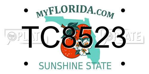 TC8523 Florida License Plate
