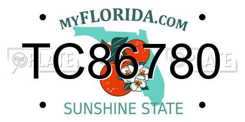 TC86780 Florida License Plate