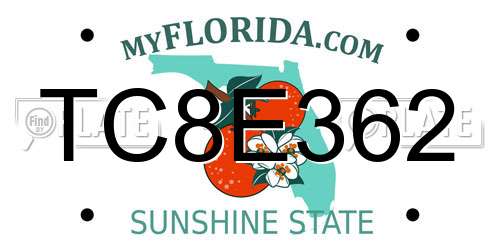 TC8E362 Florida License Plate