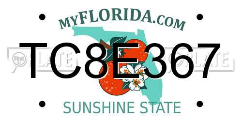 TC8E367 Florida License Plate