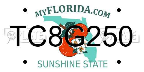 TC8G250 Florida License Plate