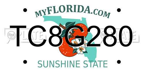 TC8G280 Florida License Plate