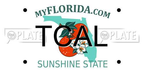TCAL Florida License Plate
