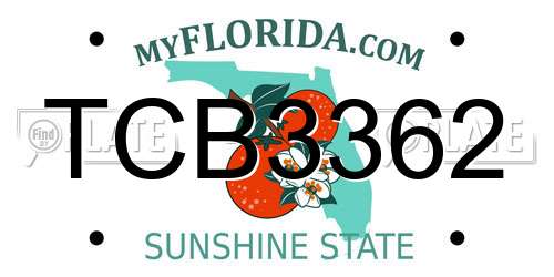 TCB3362 Florida License Plate