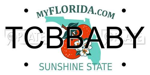TCBBABY Florida License Plate