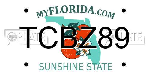 TCBZ89 Florida License Plate