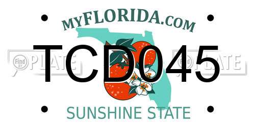 TCD045 Florida License Plate