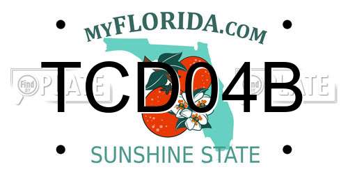 TCD04B Florida License Plate