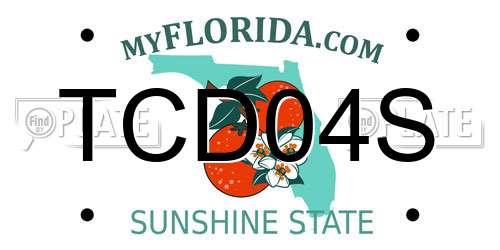 TCD04S Florida License Plate