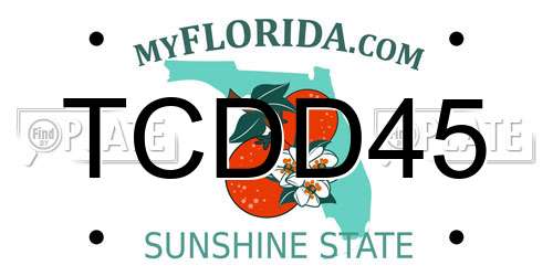 TCDD45 Florida License Plate